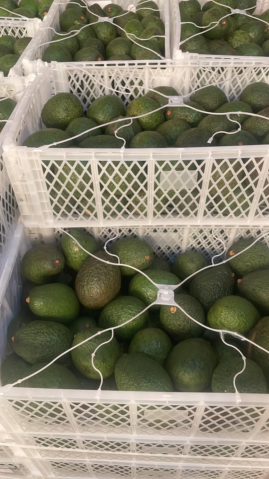 Aguacates