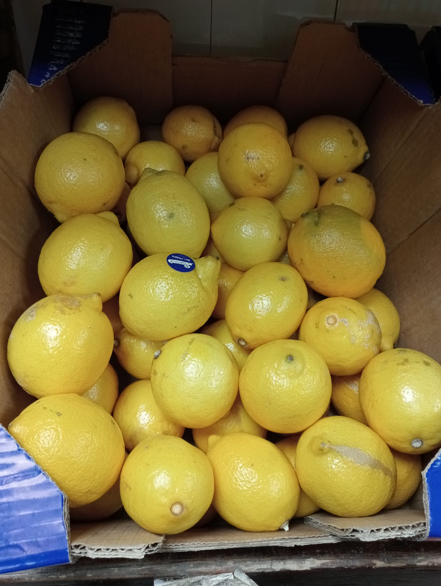 Limones