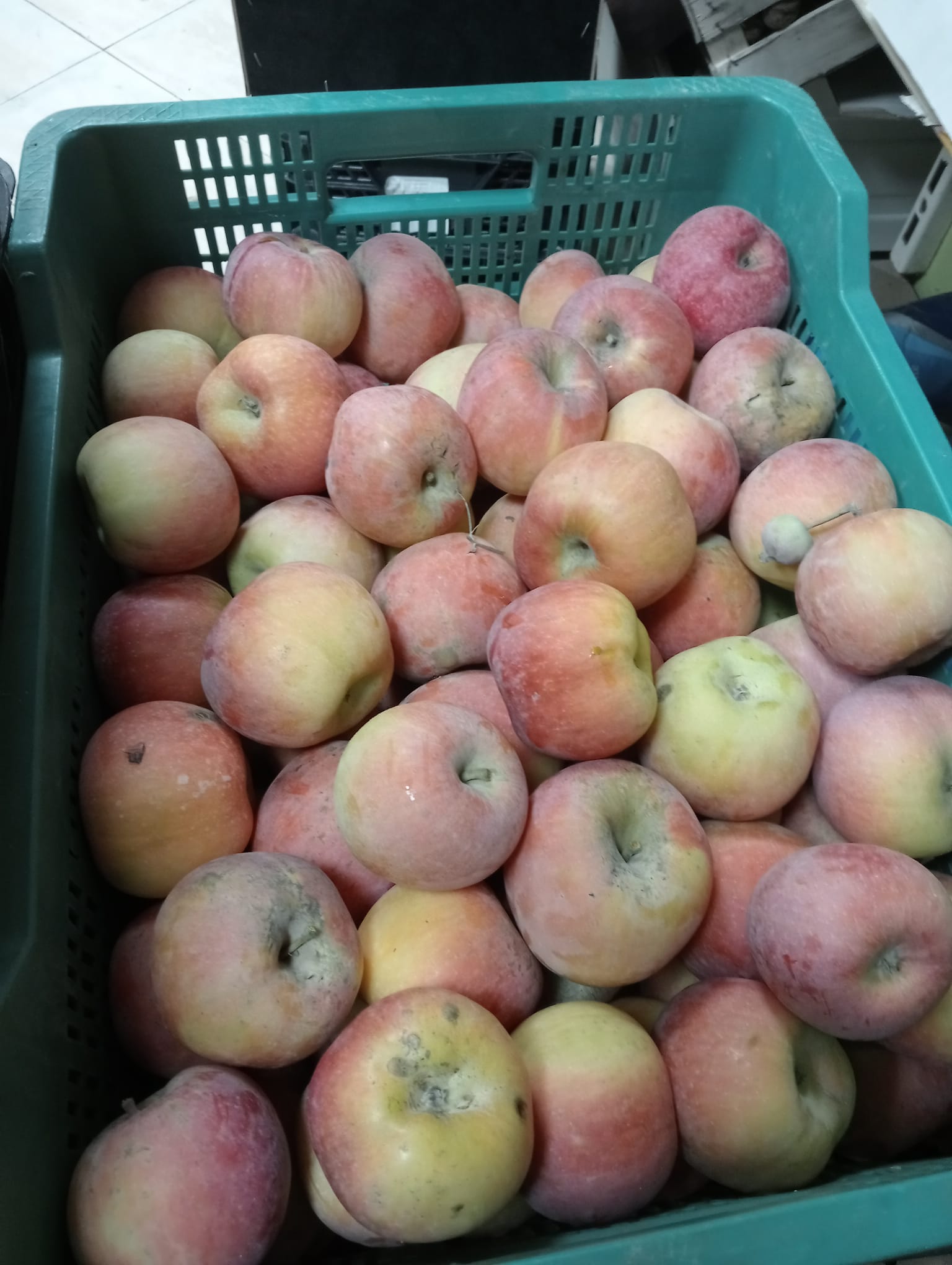 Manzanas Ecológicas Dulces