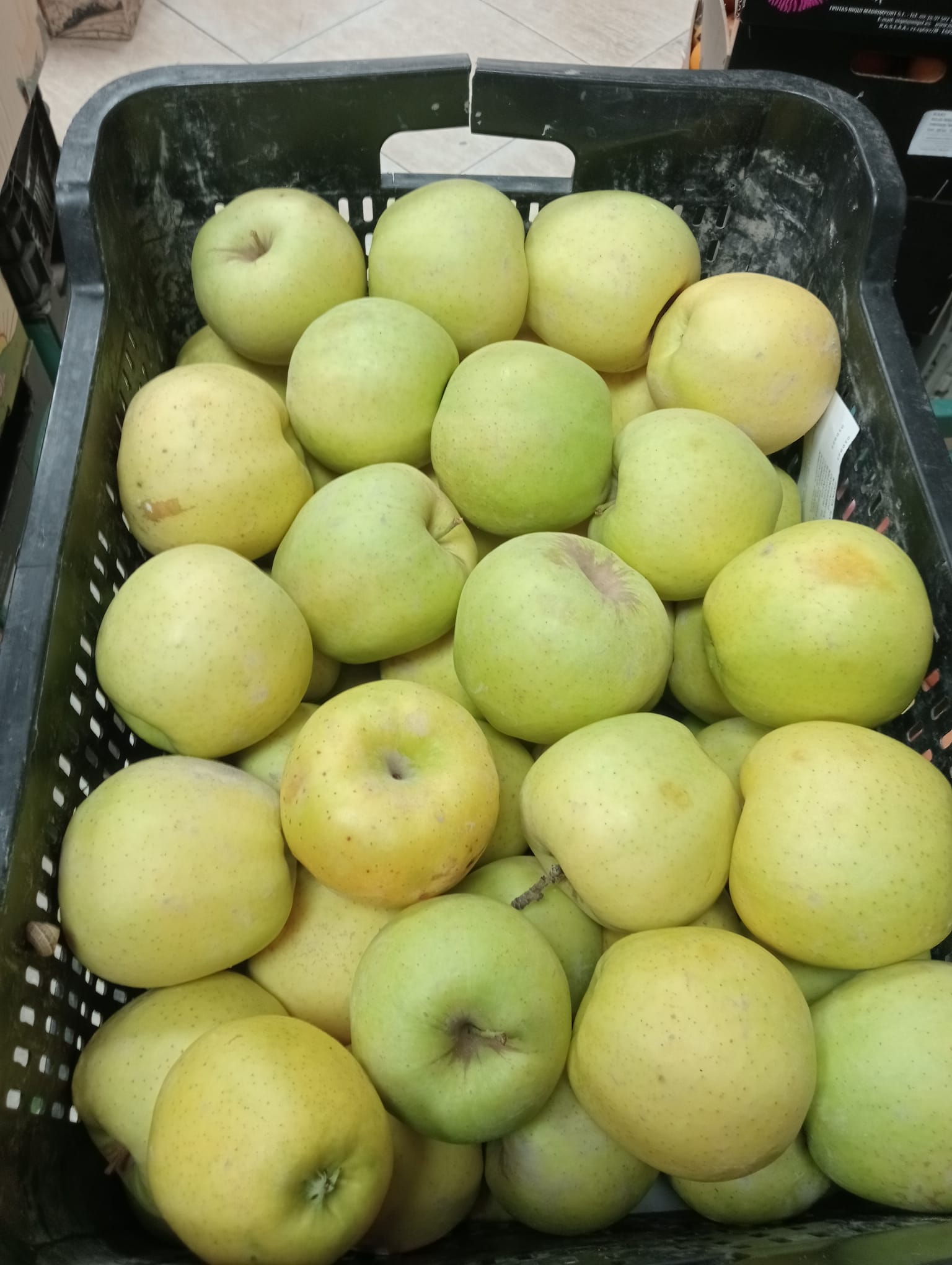 Manzanas Ecológicas Golden